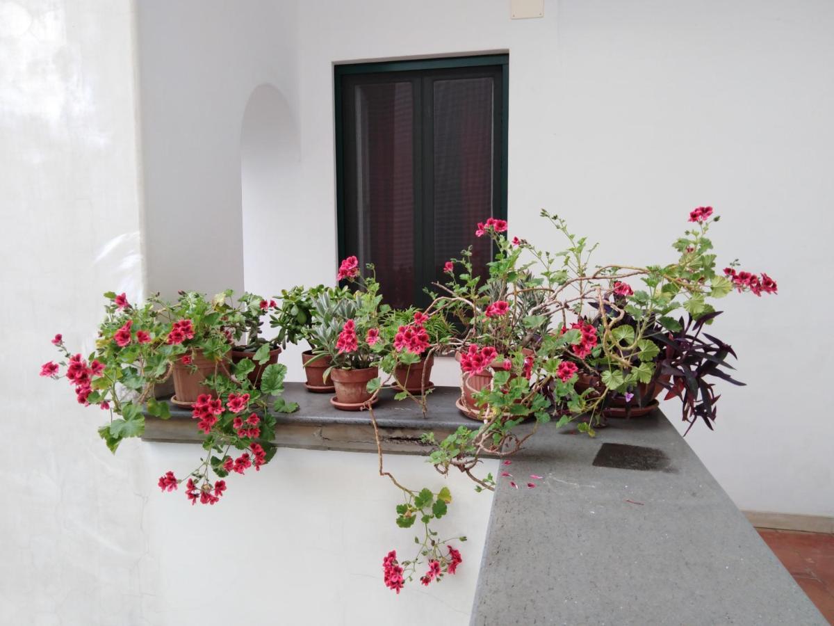 Casa De Angelis Orange & Blue Apartment Sant'Agnello Exterior photo