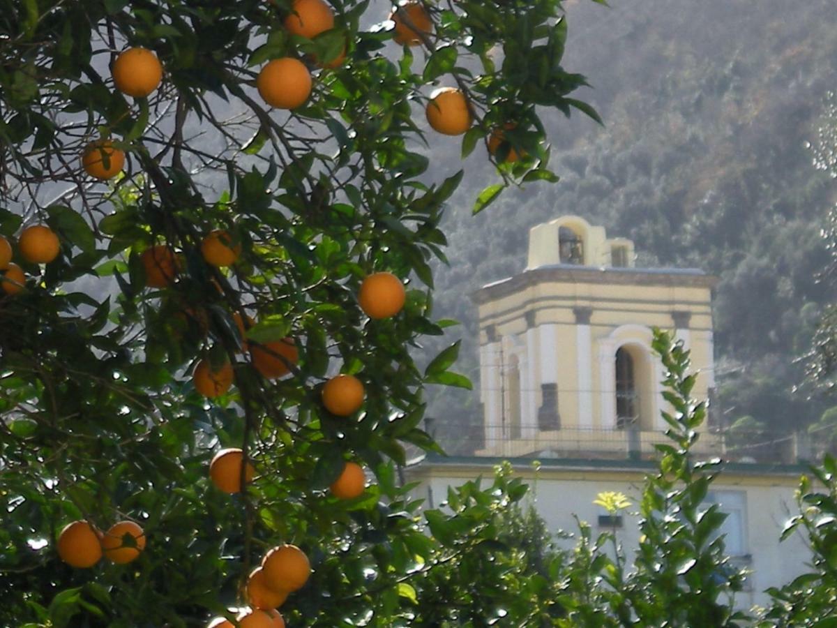 Casa De Angelis Orange & Blue Apartment Sant'Agnello Exterior photo
